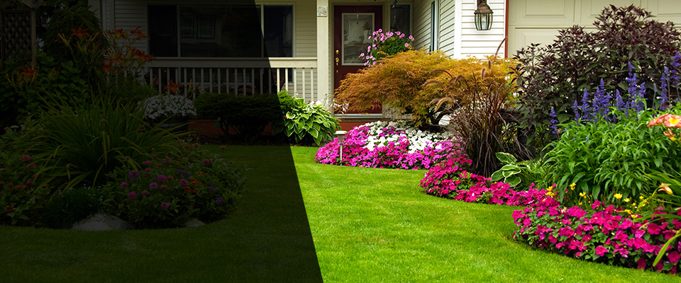 Anacortes Landscapers