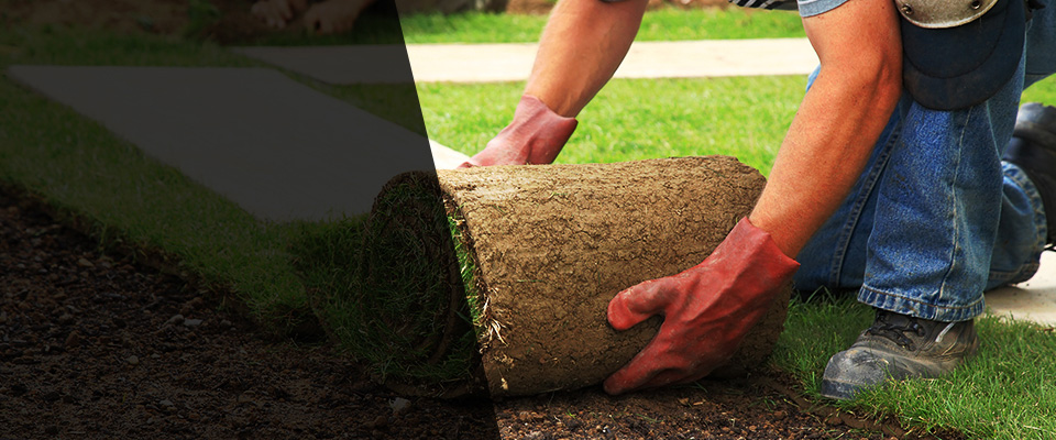 Anacortes Landscapers